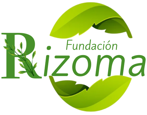 Radio themes for wordpress